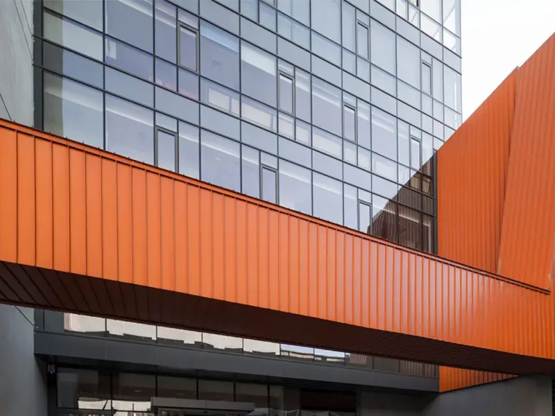 Düşey Kapaklı Görünüm