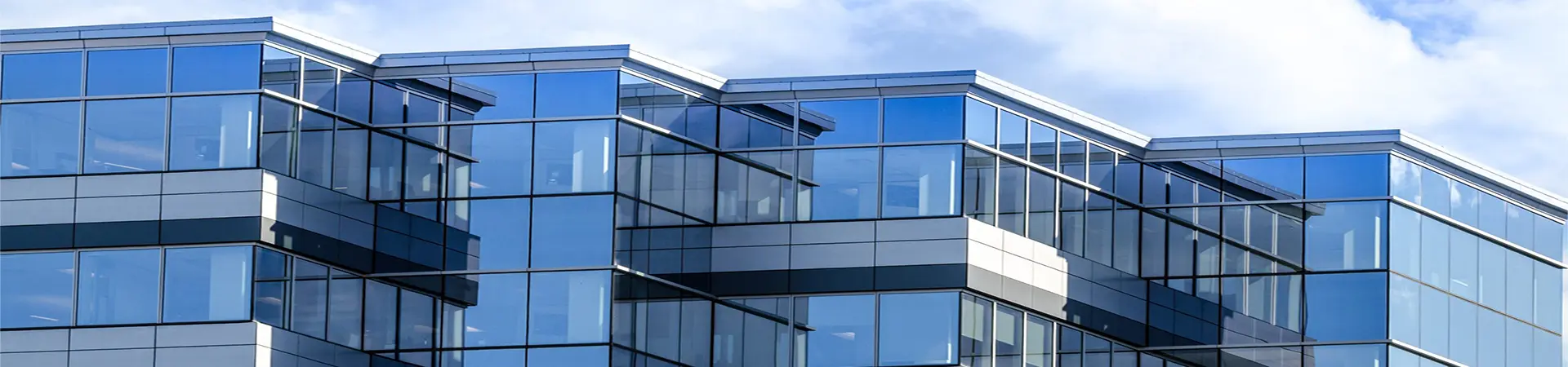 STRUCTURAL SILICONE CURTAIN WALL SYSTEMS